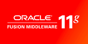 Oracle Fusion Middleware 11g