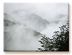 雨の奥多摩風景