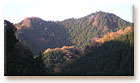 晩秋の裏高尾。でも紅葉にはまだちょっと早かったか。