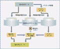 クリックすると図が拡大表示されます