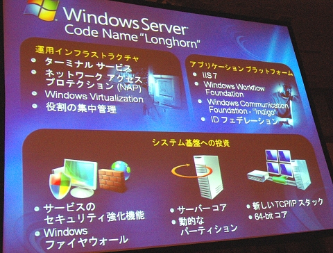 longhorn02.jpg