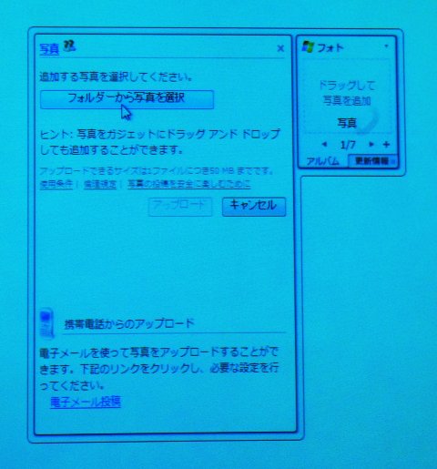 live04.jpg
