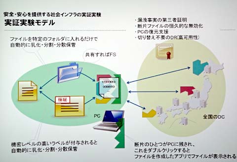実証実験モデル