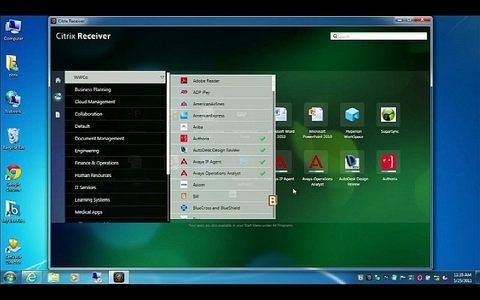 citrix03.jpg