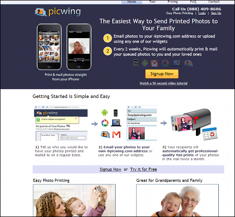 picwingweb.png