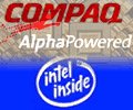 010629alpha.jpg