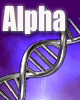 news_alpha.gif