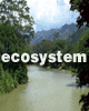 eco.gif