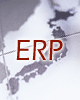 erp02.gif