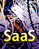saas11.gif